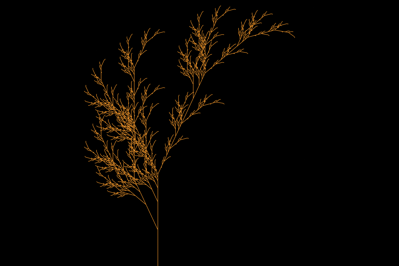 L-Systems
